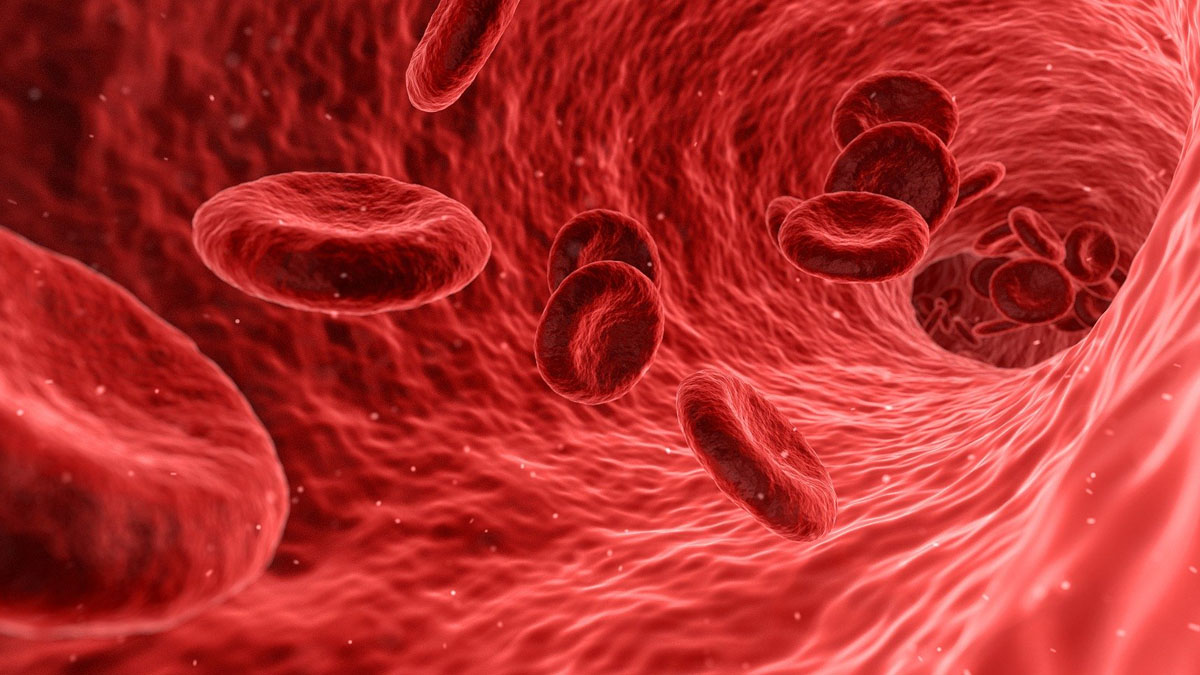 La donación de sangre y 3 enfermedades hematológicas