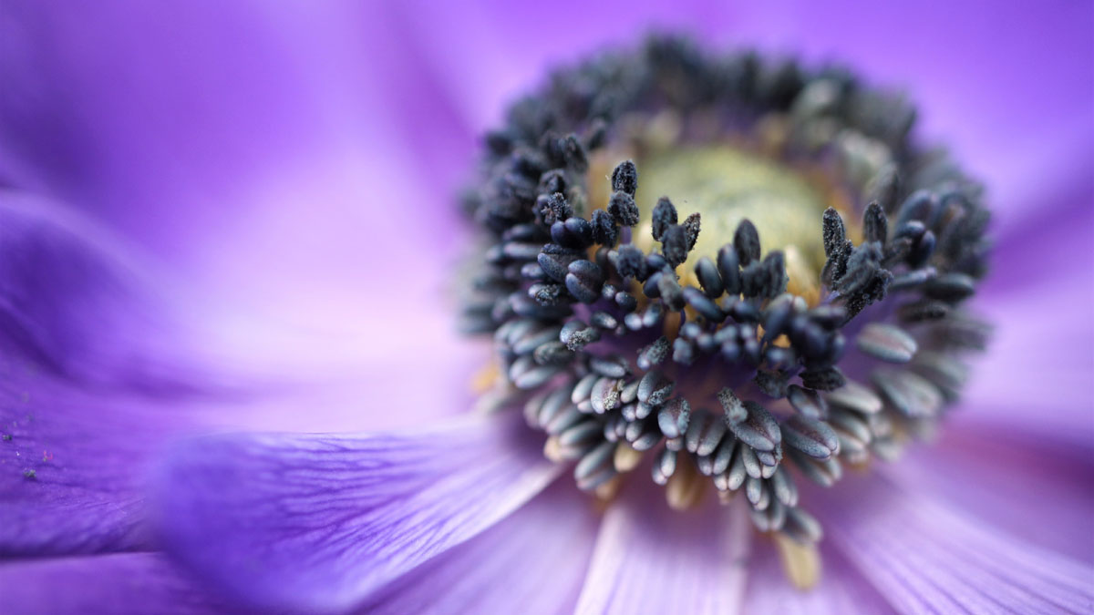 8 respuesta sobre el asma: cosas que quizás no conocías